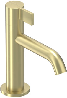 Pact Fonteinkraan - opbouw - laag - Geborsteld mat goud PVD 6402004 Goud geborsteld
