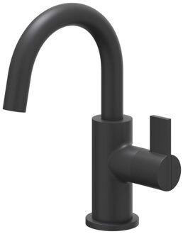 Pact Fonteinkraan - opbouw - middelhoog - draaibare uitloop - Mat zwart PED 6402152 Zwart mat