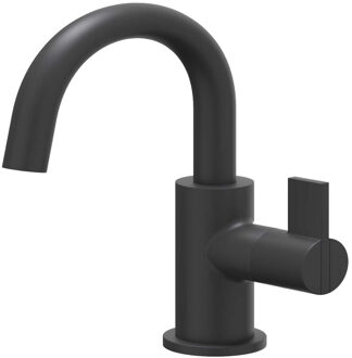 Pact Fonteinkraan - opbouw - middelhoog - draaibare uitloop - Mat zwart PED 6402152 Zwart mat