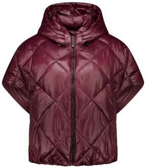 Padded bodywarmer Stevie  bordeaux - S/M,M/L,