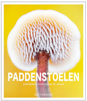 Paddenstoelen - Jan Vermeer