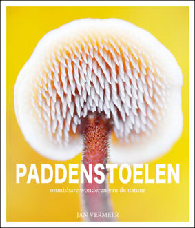 Paddenstoelen - Jan Vermeer