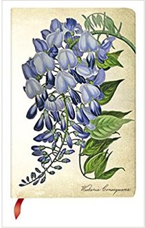 Painted Botanica Blooming Wisteria Mini - Ongelinieerd