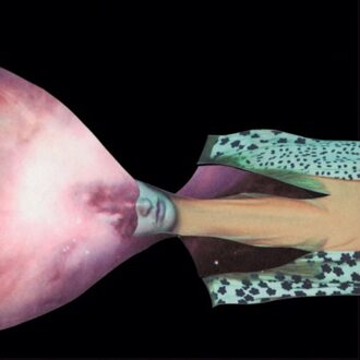 Painted Shield 2 - Painted Shield