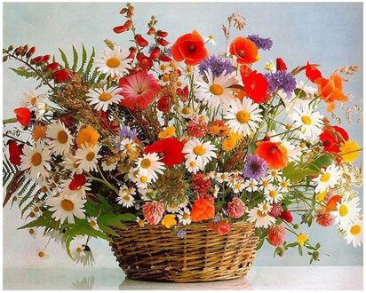 Painting By Number Diy Painting By Numbers Kit Coloring By Numbers Picture By Numbers Home Decors Painting By Numbers Painting#W