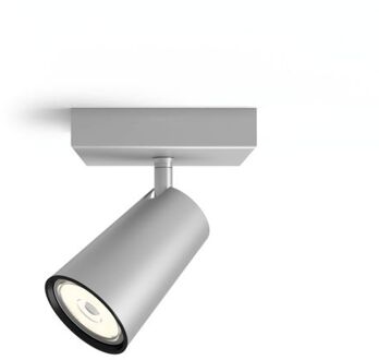 Paisley - Opbouwspot - 1 Lichtpunt - aluminium
