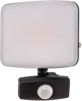 Paityn LED buitenwandlamp met sensor, 20 W zwart, wit
