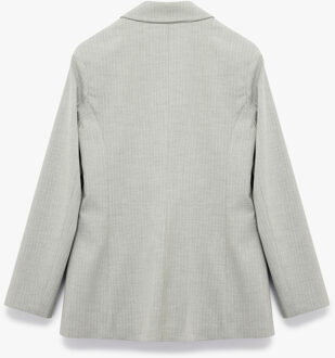 PAKKENJACKET Grijze Blazer Lange Mouwen Dubbele Knoopsluiting Grijs