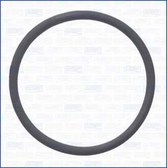 Pakking, brandstofpomp 16134200