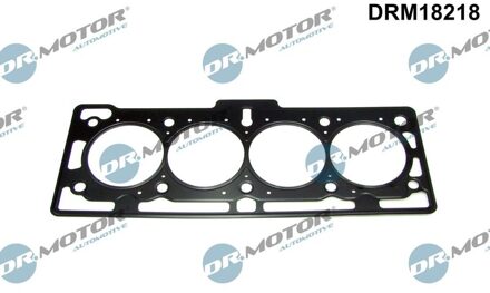 Pakking, cilinderkop DRM18218