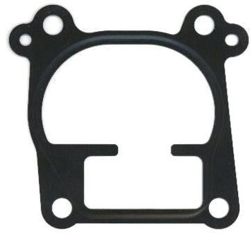 Pakking, inlaatspruitstuk omkasting