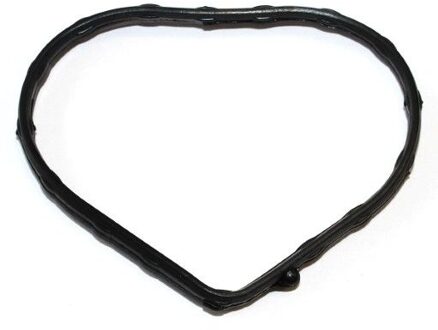 Pakking, thermostaathuis