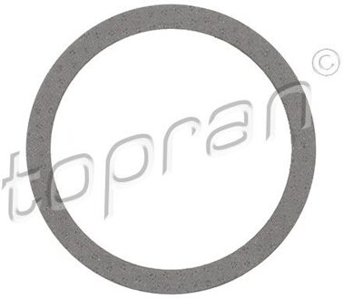 Pakking, uitlaatpijp 205653