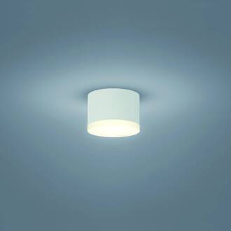 Pala - LED opbouw downlight, wit gesatineerd