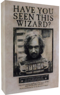 Paladone Harry Potter: Sirius Black- Luminart- Poster