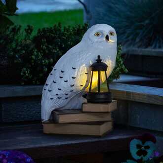 Paladone Products Harry Potter LunaGlo Light Hedwig Gnome