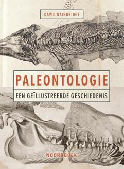 Paleontologie - David Bainbridge