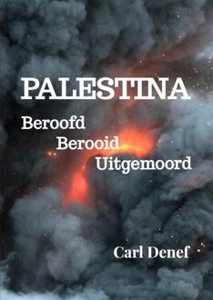Palestina, Beroofd, Berooid, Uitgemoord -  Carl Denef (ISBN: 9789465127903)