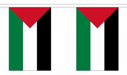Palestina vlaggenlijn slinger - 900 cm - polyester - met 30 vlaggetjes - binnen/buiten Multi