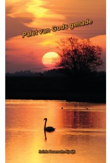 Palet van Gods genade - Boek Tessensohn - Rijsdijk (9491026496)