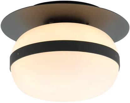 Palma plafondlamp met glazen kap opaal, zwart