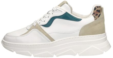 Palpa Pritty Wit - 41