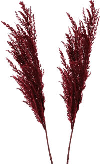 Pampasgras pluim losse steel/tak - 2x - bordeaux rood - 100 cm - Decoratie kunst graspluimen