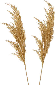 Pampasgras pluim losse steel/tak - 2x - naturel beige - 100 cm - Decoratie kunst graspluimen