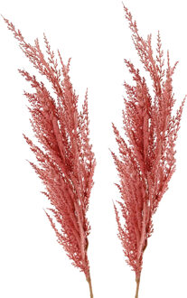 Pampasgras pluim losse steel/tak - 2x - oudroze - 100 cm - Decoratie kunst graspluimen