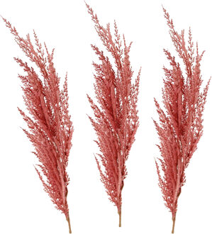 Pampasgras pluim losse steel/tak - 3x - oudroze - 100 cm - Decoratie kunst graspluimen