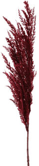 Pampasgras pluim losse steel/tak - bordeaux rood - 100 cm - Decoratie kunst graspluimen