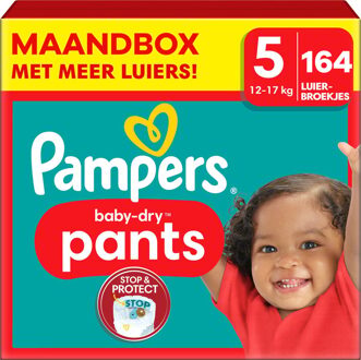 Pampers Baby Dry Pants - Maat 5 - Maandbox - 164 stuks - 12/17KG