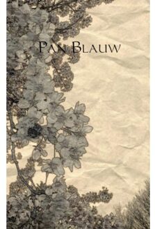 Pan Blauw - Boek S.R. Post (9402111549)