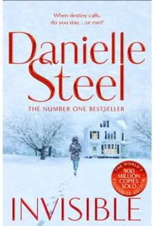 Pan Invisible - Danielle Steel