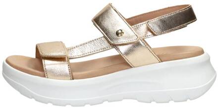 Panama Jack Gouden Leren Sandalen Noor Panama Jack , Yellow , Dames - 38 EU