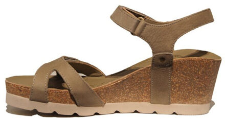 Panama Jack Julia Bruin - 38