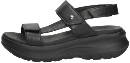 Panama Jack Noor Zwart - 36