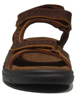 Panama Jack Salton basics Bruin - 45