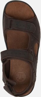 Panama Jack Salton Basics heren sandaal - Bruin - Maat 45