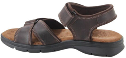 Panama Jack Sanders basics c1 Bruin - 44