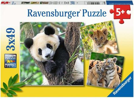 Panda, Tijger en Leeuw Puzzel (3x49 stukjes)