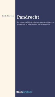 Pandrecht - Boek Floris Kaptein (9462902739)