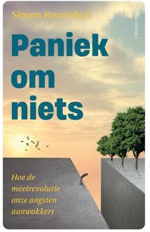 Paniek om niets -  Simon Rozendaal (ISBN: 9789045045238)