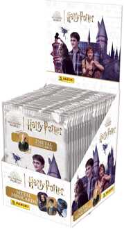 Panini Harry Potter Metal Minicards Display (25)
