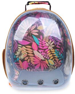 Panoramisch Transparante Kat Tas Huisdier Stijl Kat Hond Huisdier Rugzak Out Draagbare Afdrukken Ruimte Tas Kat Doos Huisdier tas 4