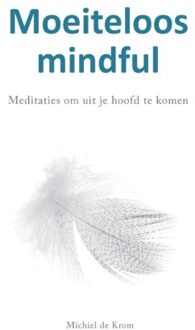 Panta Rhei Moeiteloos Mindful - Michiel de Krom