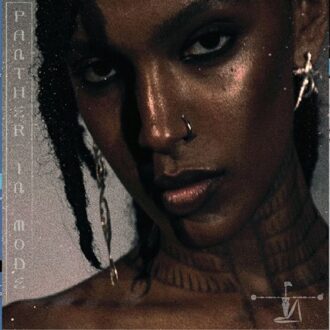 Panther In Mode - Alewya