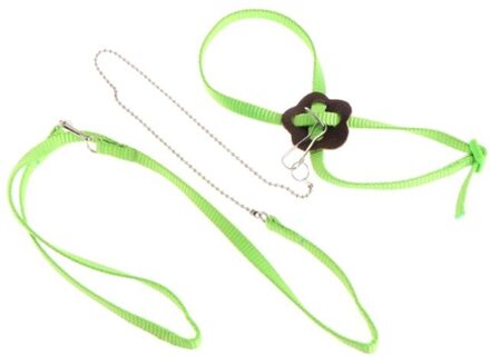 Papegaai Bird Harness Leash Outdoor Verstelbare Training Touw Anti Vliegende Tractie Riem Draagbare Band groen