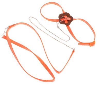 Papegaai Bird Harness Leash Outdoor Verstelbare Training Touw Anti Vliegende Tractie Riem Draagbare Band Oranje