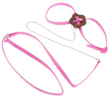 Papegaai Bird Harness Leash Outdoor Verstelbare Training Touw Anti Vliegende Tractie Riem Draagbare Band Roze